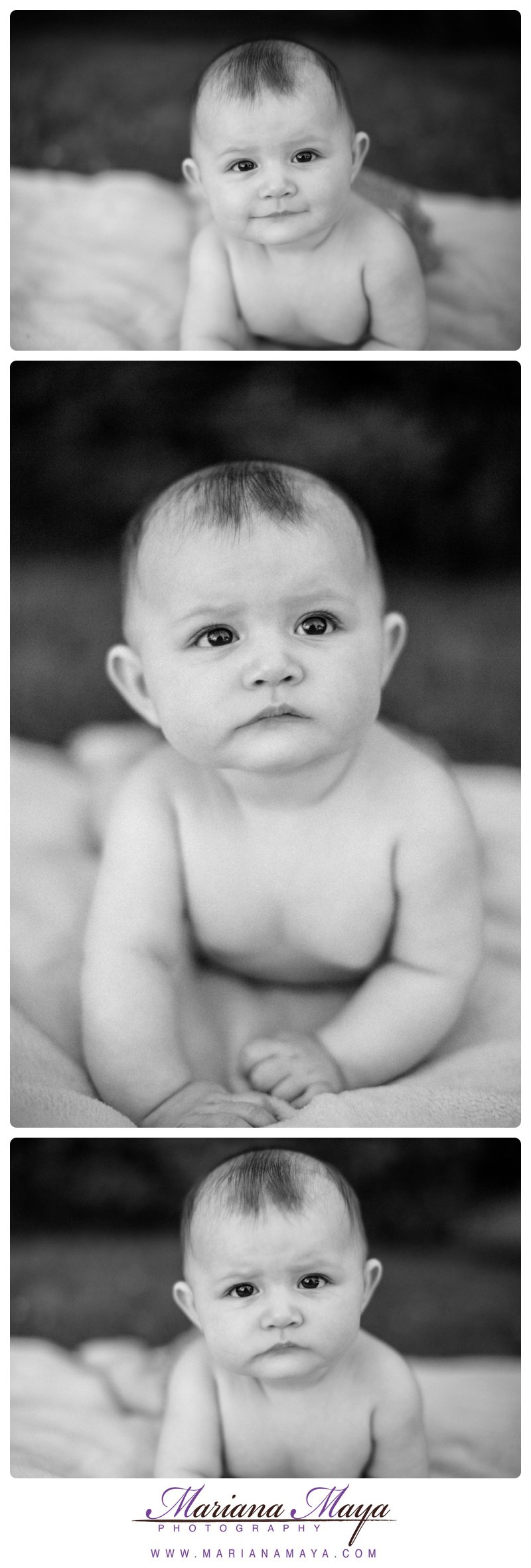 baby portraits