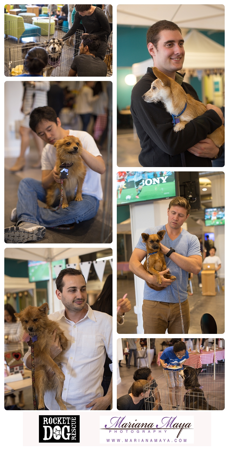 yammer employees at a Rocket Dog Rescue adoption event