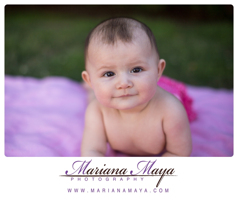 6 month baby portraits