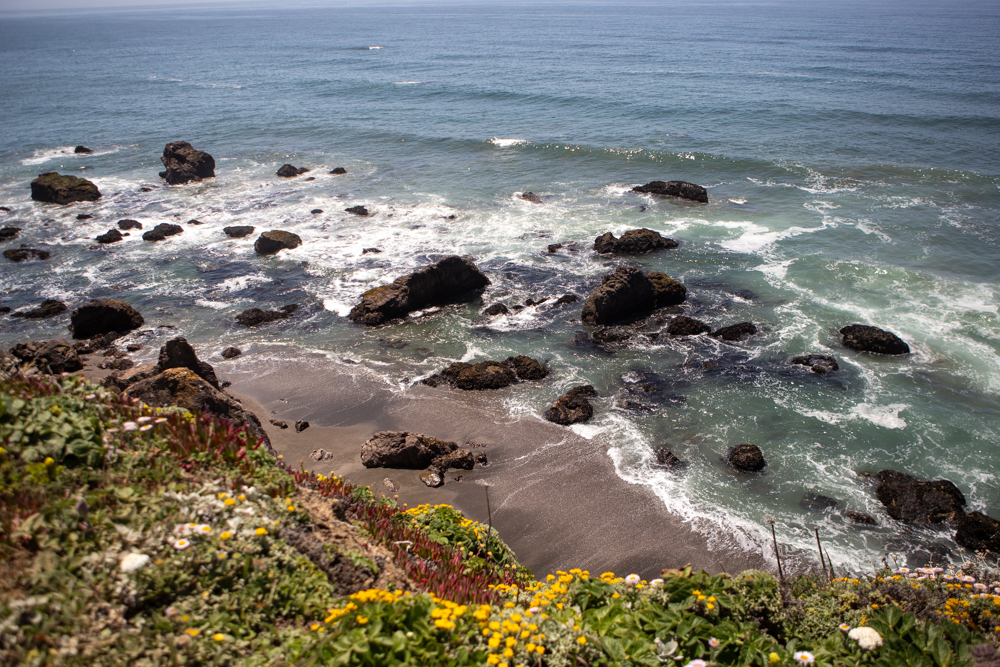 Photography of Bodega bay, California seaside